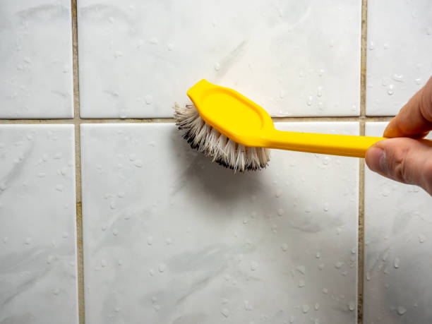 Best Best Mold Removal Companies  in Alameda, CA