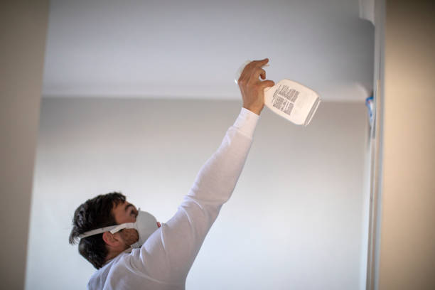 Best Black Mold Removal  in Alameda, CA