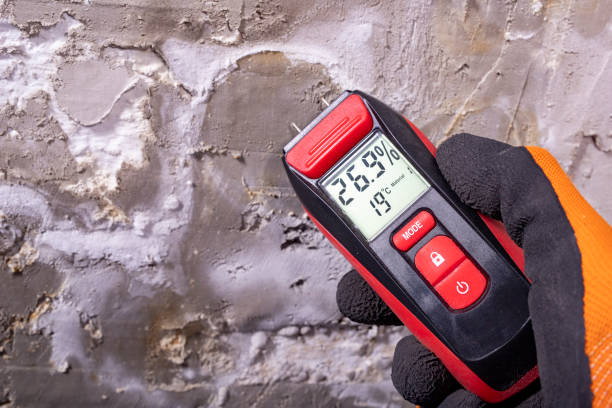Best Residential Mold Removal  in Alameda, CA