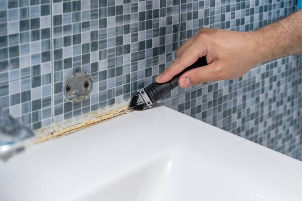 Best Certified Mold Removal  in Alameda, CA