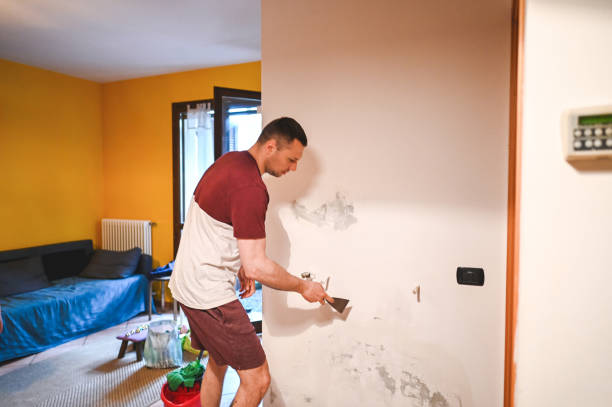 Home Mold Removal in Alameda, CA